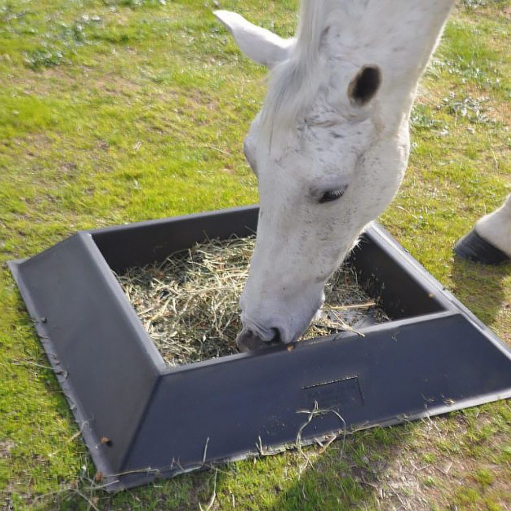 Horse eating from a grey  plastic feed trough on grass