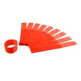 Leg Band Nylon (Hook & Loop) 10pk Livestock Bainbridge Pty Ltd Orange