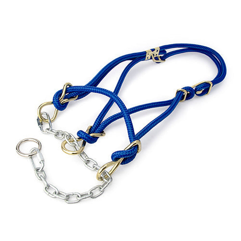 Hackamore Halter Calf Animal Accessories Bainbridge Blue  