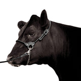 Leather Show Halter with Lead