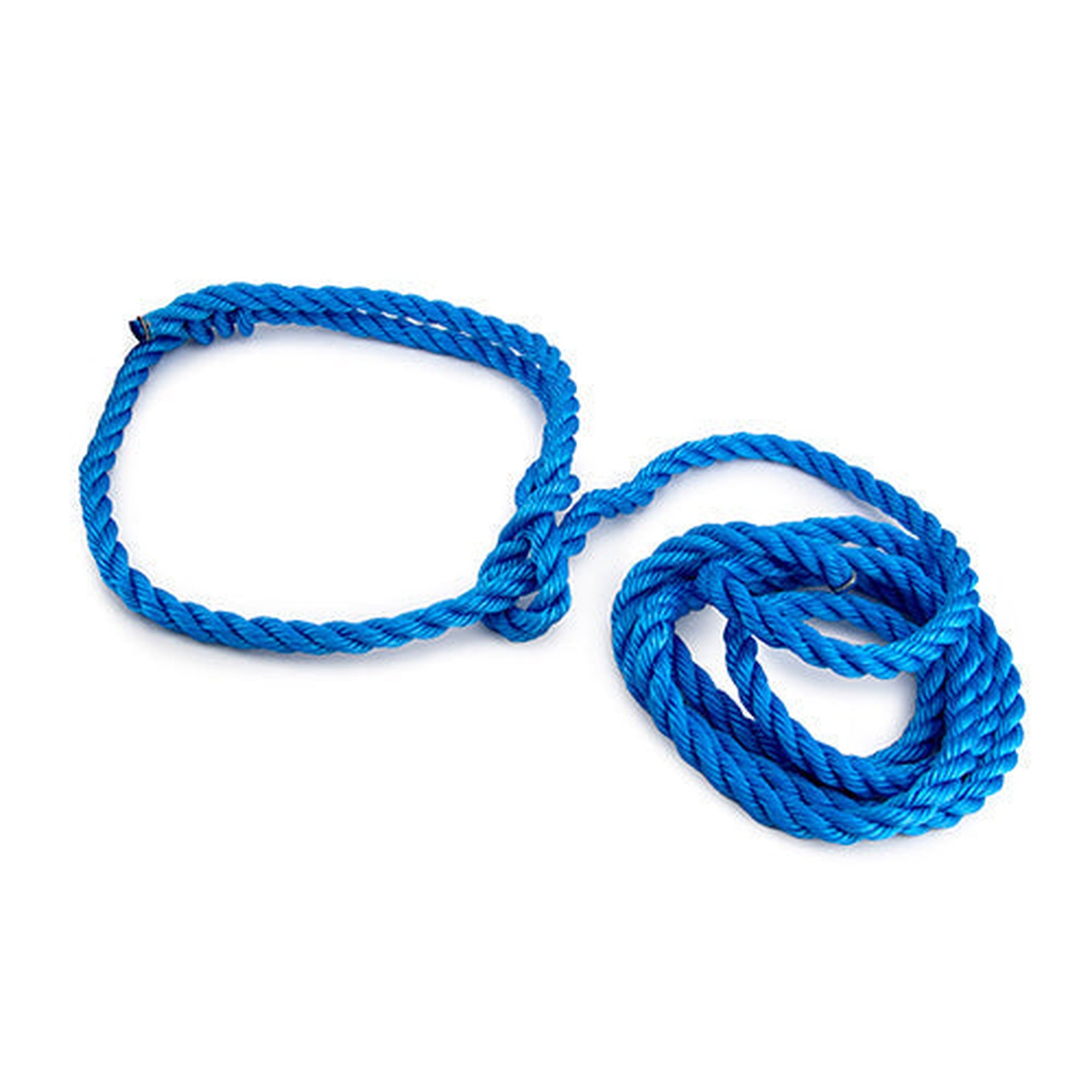 Halter Poly Rope Cow/Horse Animal Accessories Bainbridge Pty Ltd Blue