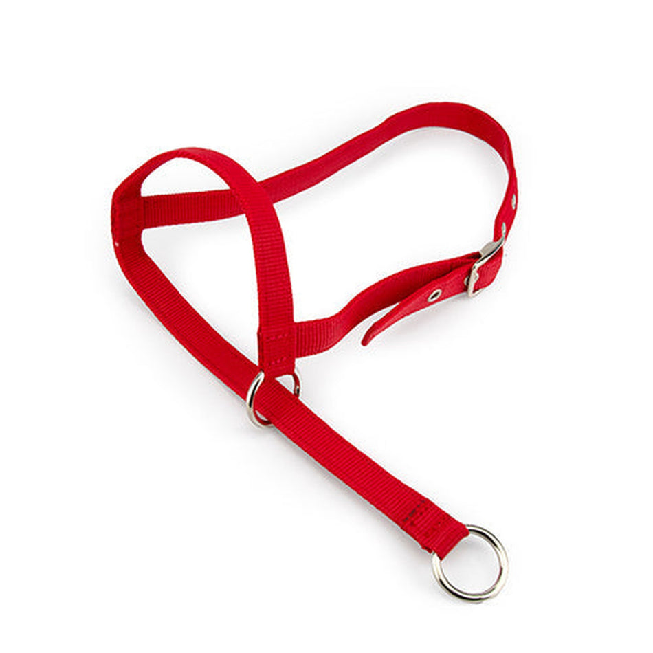 Halter Leading Calf Animal Accessories Bainbridge Pty Ltd Red