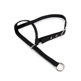 Halter Leading Cow Animal Accessories Bainbridge Pty Ltd