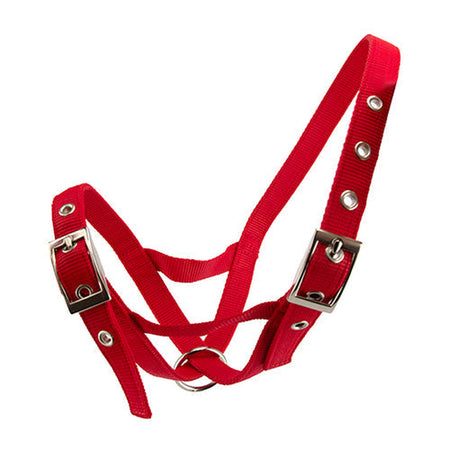 Cattle Halter Webbing Heifer Animal Accessories Bainbridge Red  