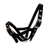 Cattle Halter Webbing Bull Animal Accessories Bainbridge Pty Ltd Black