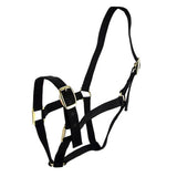 HORSE HALTER COB Animal Accessories Bainbridge Pty Ltd Black