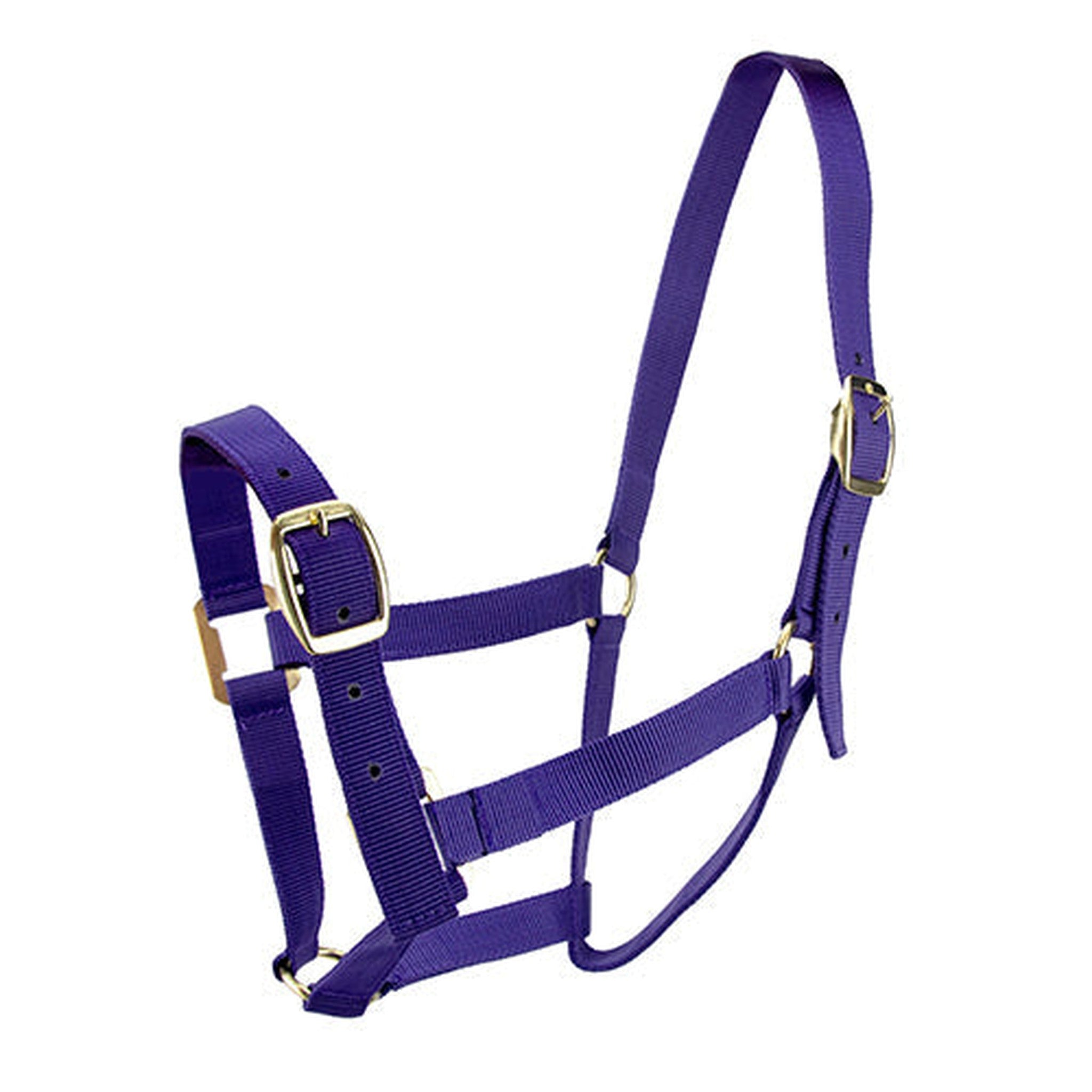 HORSE HALTER FULL Animal Accessories Bainbridge Pty Ltd Purple