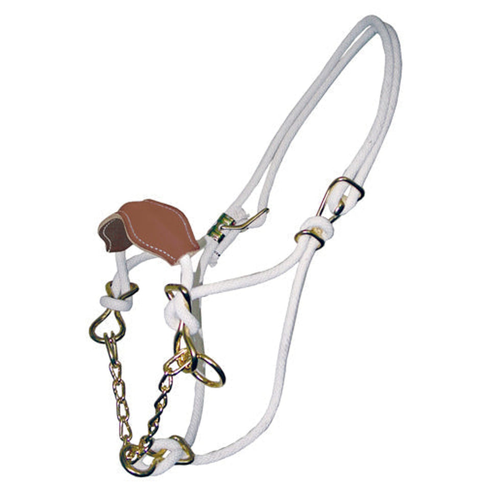 Hackamore Leather Nose Band Cow Animal Accessories Bainbridge White  