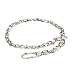 Silver chain leash on a white background
