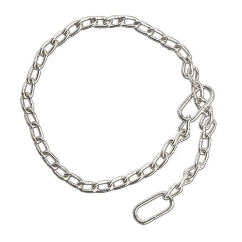 Silver chain leash with a clasp on a white background