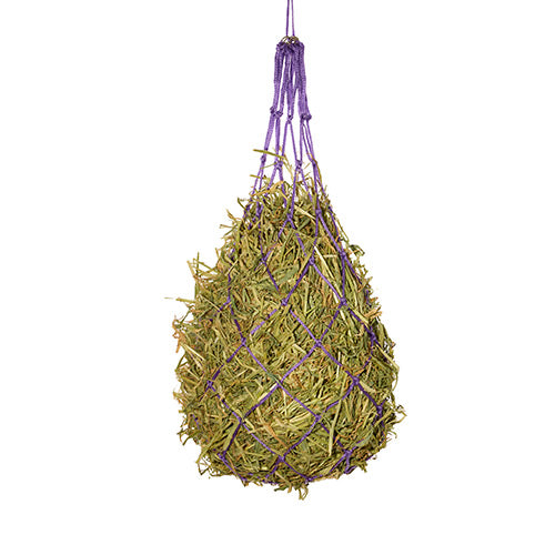 Hay net with hay hanging from purple ropes on a white background
