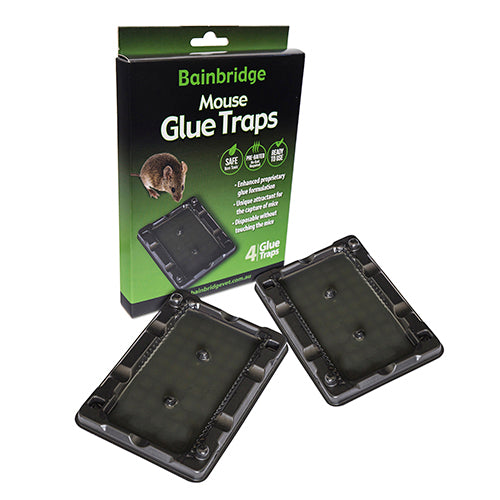 Mouse Glue Trap Hardware Bainbridge Pty Ltd 4 Pack
