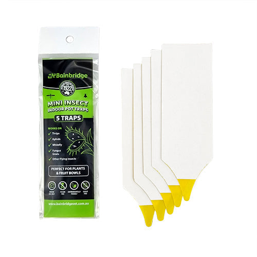 Mini Insect Indoor Pot Traps Hardware Bainbridge Pty Ltd 5 Pack