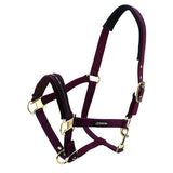 Premium Horse Halter Pony Size