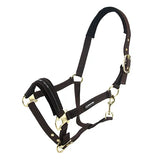 Premium Horse Halter Full Size