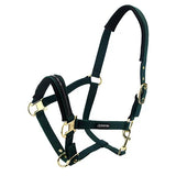 Premium Horse Halter Full Size