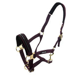 Premium Horse Halter Full Size