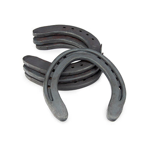 Horse Shoes Flat Hack (Set of 4) Animal Health Bainbridge Size 6