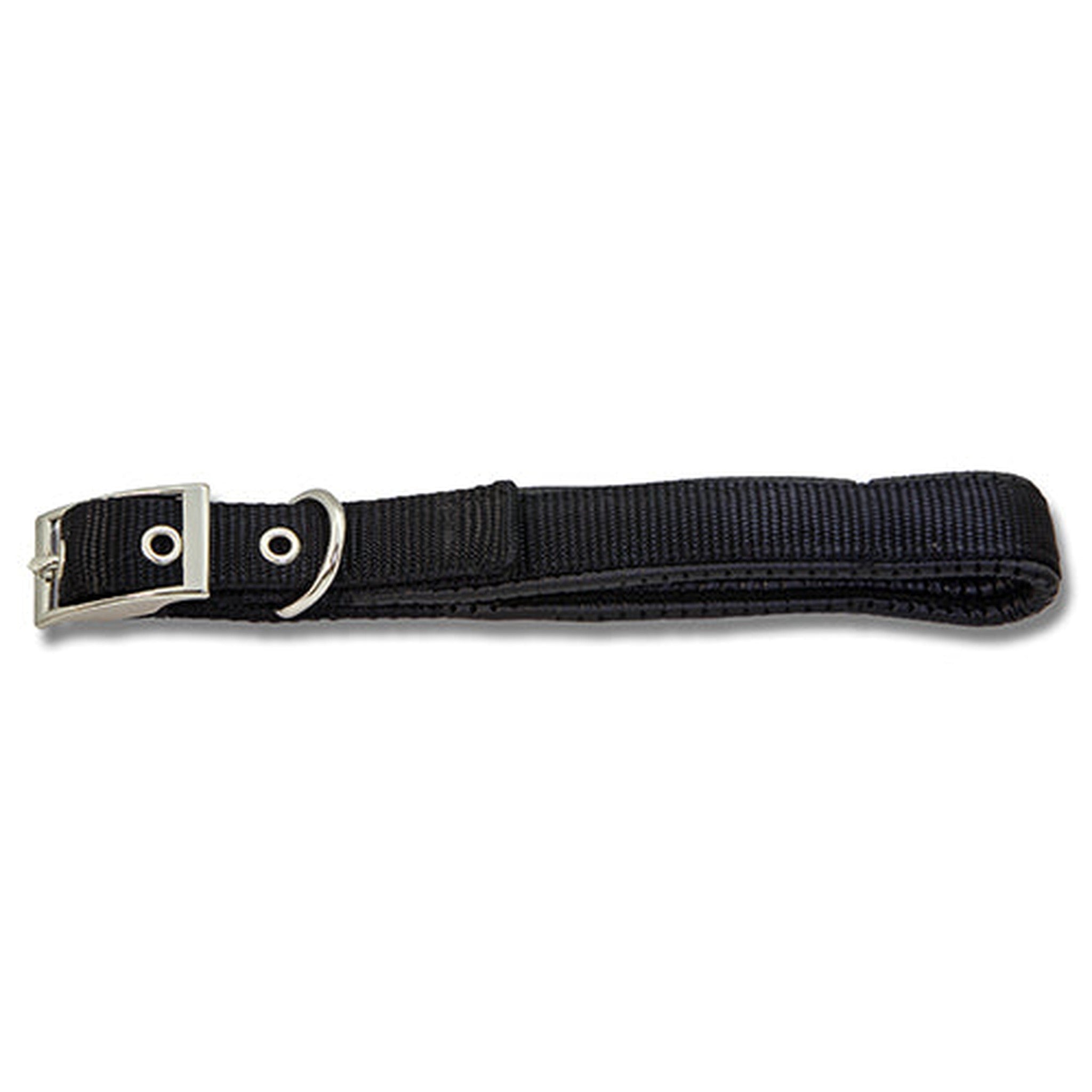 Dog Collar Webbing  Padded Animal Accessories Bainbridge   