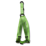 Harness Webbed Adjustable w Reflective Strips 51 Animal Accessories Bainbridge Pty Ltd 70cm Green