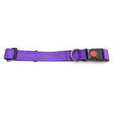 Dog Collar Webbing Reflective Strips