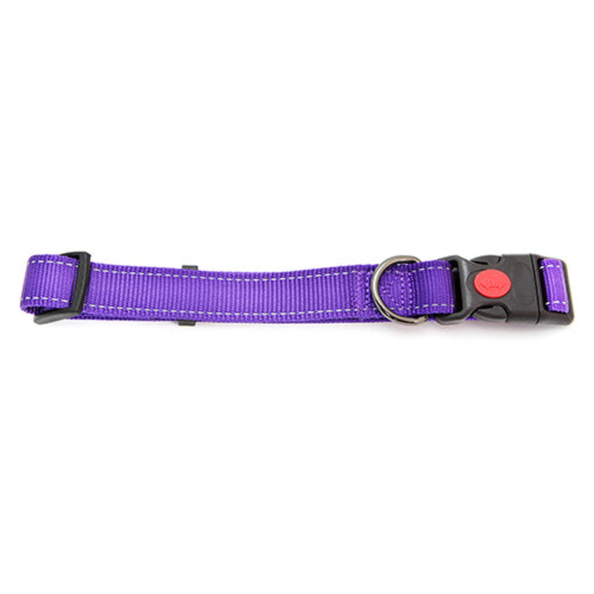 Dog Collar Webbing Reflective Strips 20 Animal Accessories Bainbridge Pty Ltd 35cm Purple