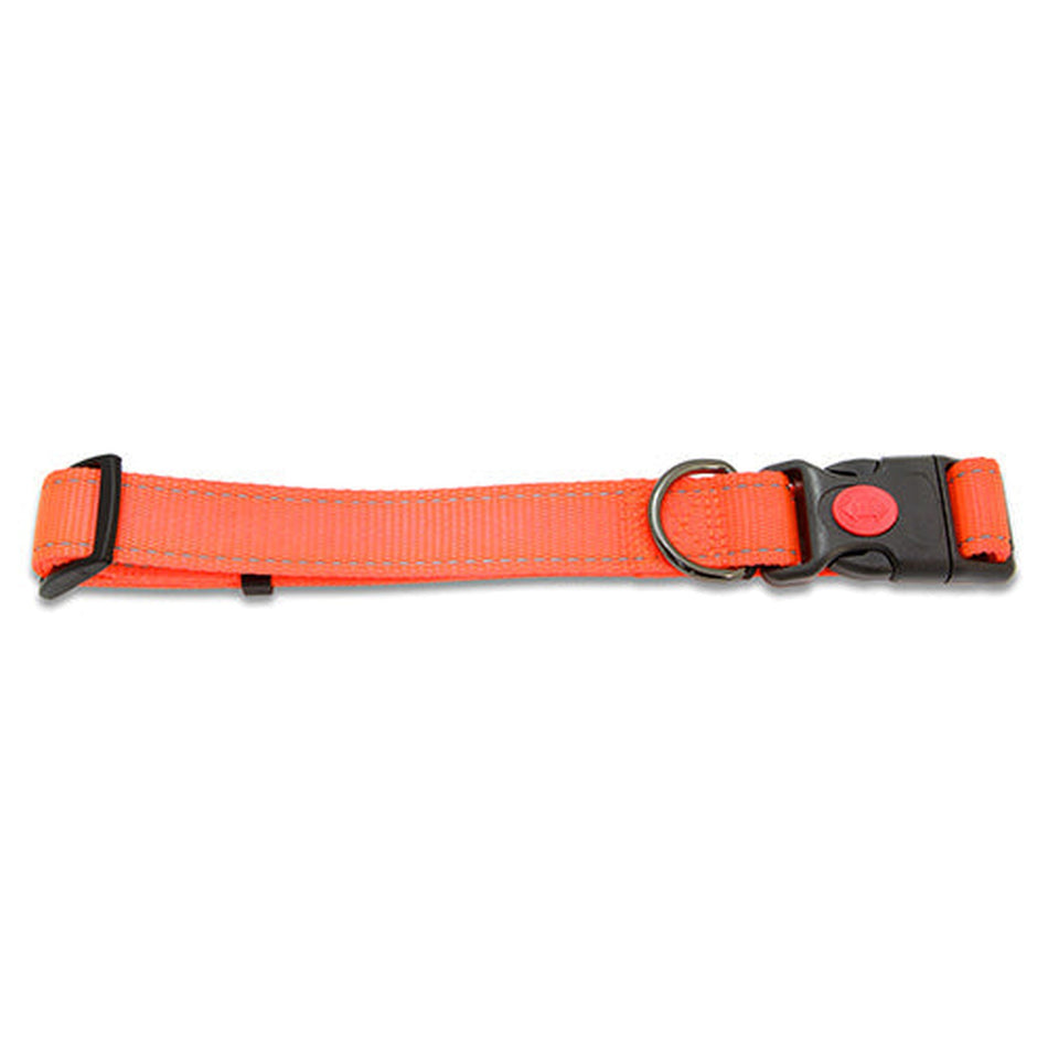 Dog Collar Webbing Reflective Strips 38 Animal Accessories Bainbridge Pty Ltd 65cm Orange