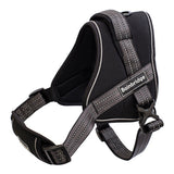 Harness Adjustable Padded Animal Accessories Bainbridge Pty Ltd Large
