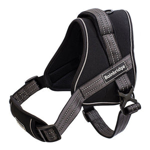 Harness Adjustable Padded Animal Accessories Bainbridge Pty Ltd Large