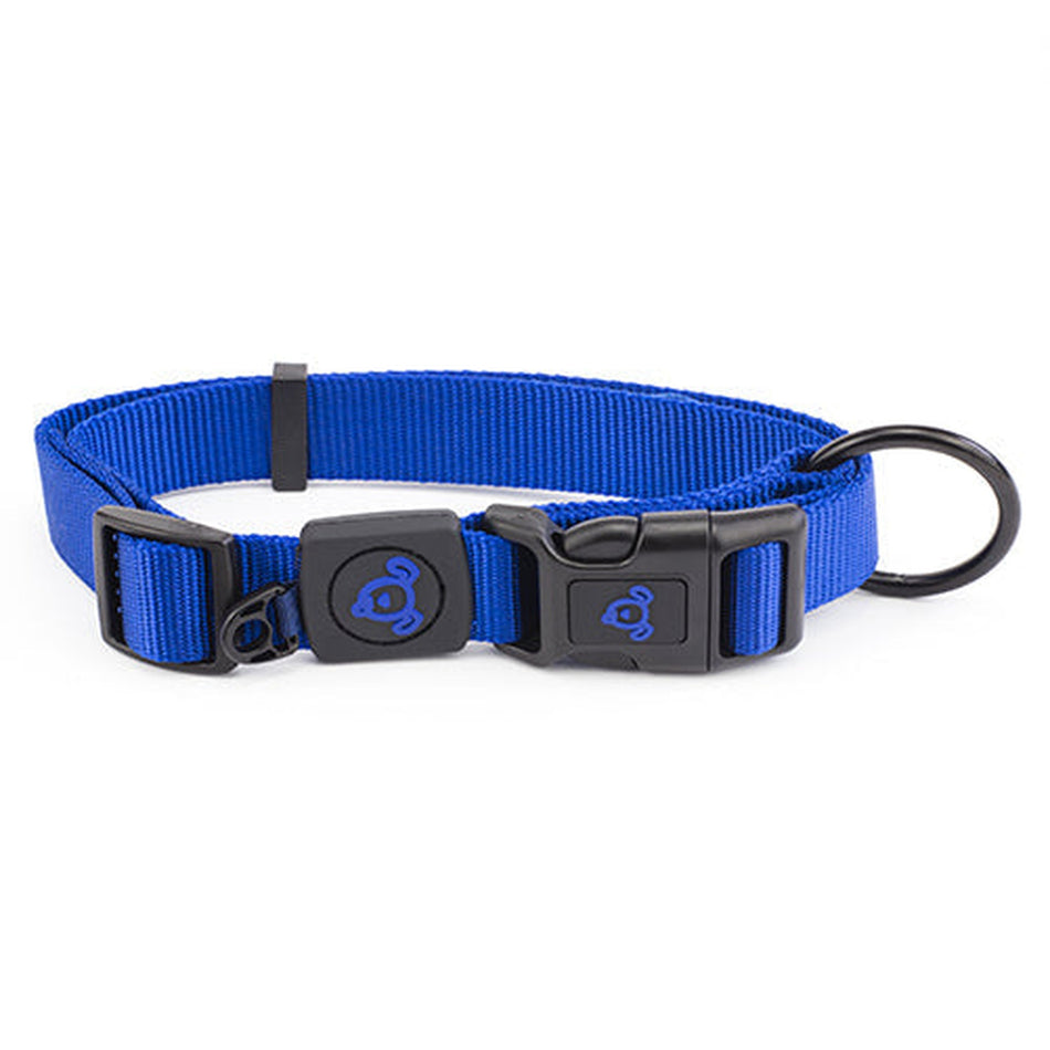 Nylon Dog Collar Premium Animal Accessories Bainbridge Medium Blue 