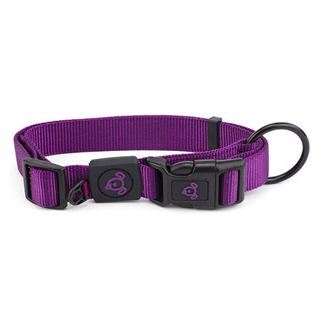 Nylon Dog Collar Premium Animal Accessories Bainbridge Pty Ltd Medium Purple