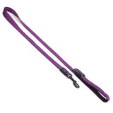 Nylon Cafe Lead Premium Animal Accessories Bainbridge Pty Ltd Small Purple