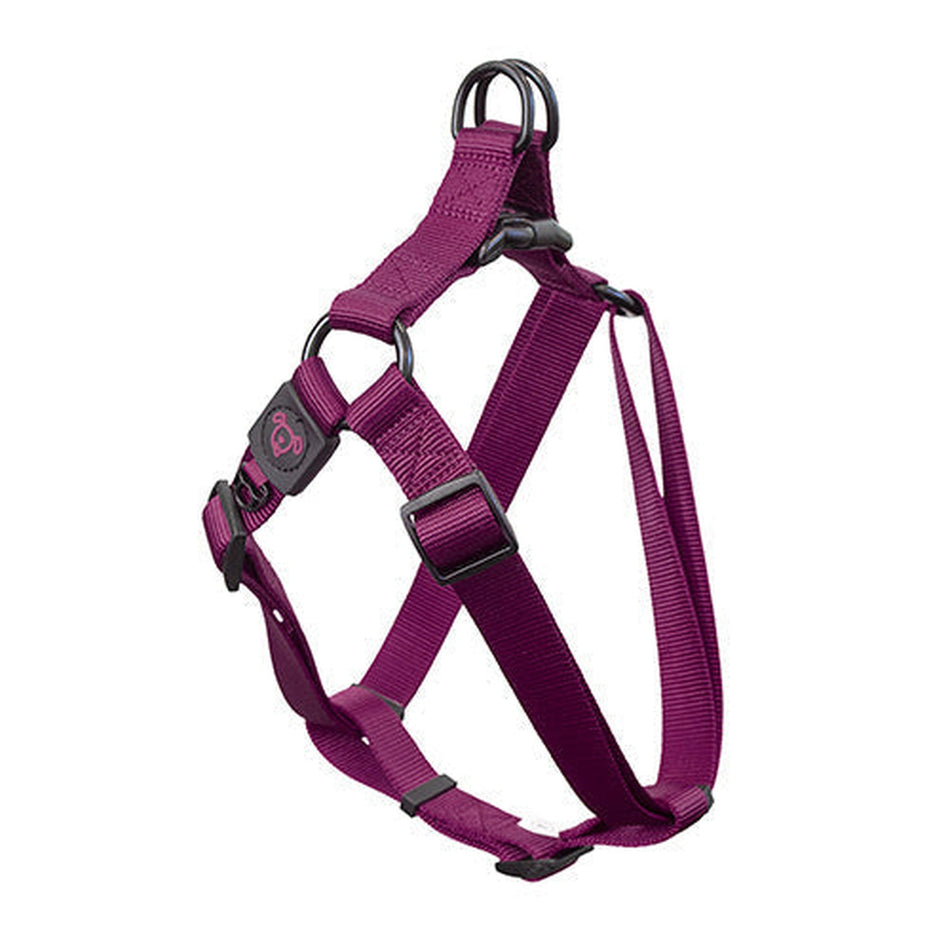 Nylon Step in Harness Premium Animal Accessories Bainbridge Small Purple 