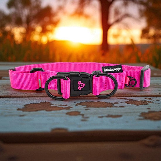 Nylon Double Ring Dog Collar Premium