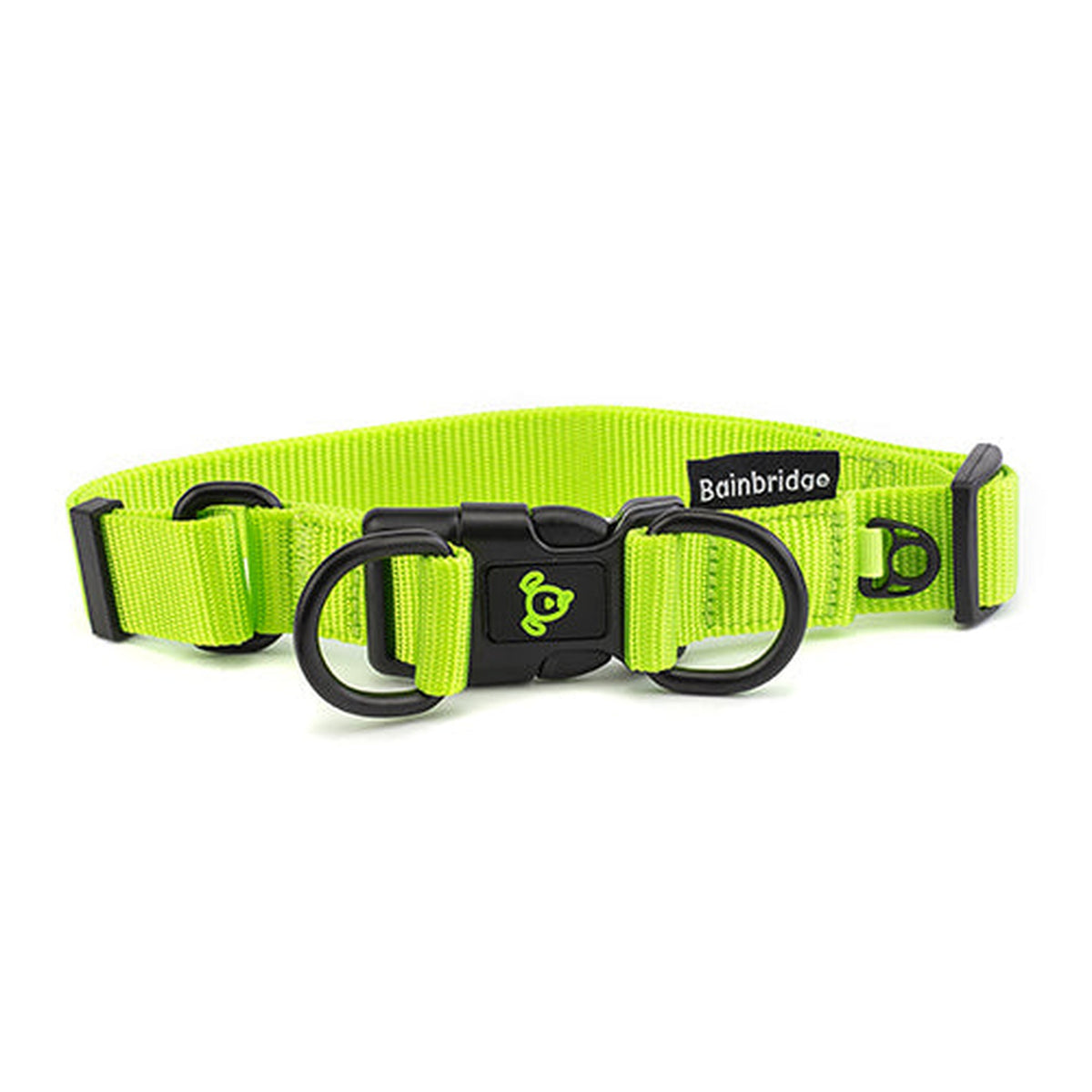 Nylon Double Ring Dog Collar Premium  Extra Animal Accessories Bainbridge Large Green 