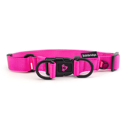 Nylon Double Ring Dog Collar Premium  Extra Animal Accessories Bainbridge Large Pink 