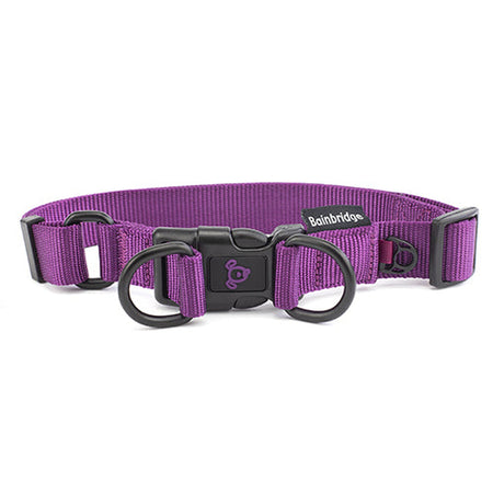 Nylon Double Ring Dog Collar Premium  Extra Animal Accessories Bainbridge Large Purple 