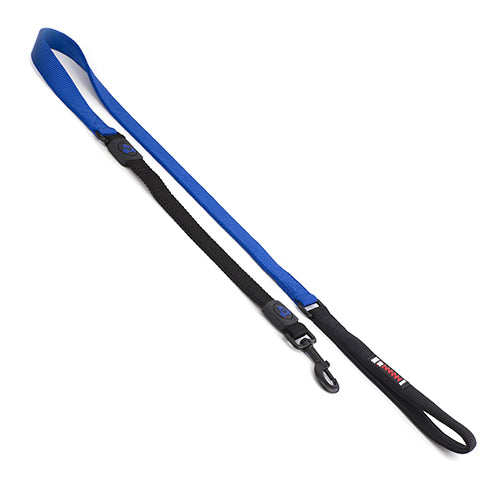 Nylon Dog Lead Premium with Shock Absorb Animal Accessories Bainbridge Pty Ltd 2.5cm x 120cm Blue