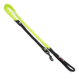 Nylon Dog Lead Premium with Shock Absorb Animal Accessories Bainbridge Pty Ltd 2.5cm x 120cm Green