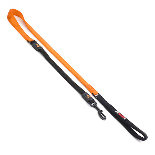 Nylon Dog Lead Premium with Shock Absorb Animal Accessories Bainbridge Pty Ltd 2.5cm x 120cm Orange