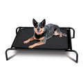Elevated Mesh Dog Bed