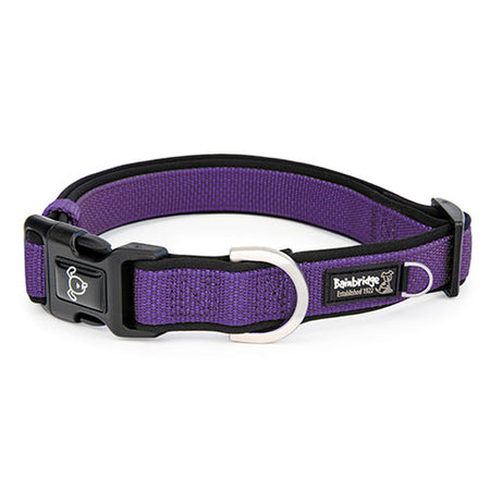 Premium Sport Dog Collar with Neoprene Animal Accessories Bainbridge XL Purple 