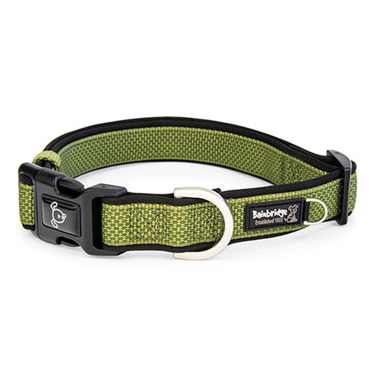 Premium Sport Dog Collar with Neoprene Animal Accessories Bainbridge XS Green 