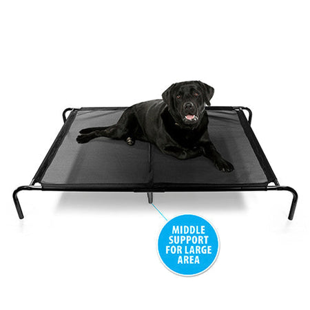 Dog Bed Flea Free Mesh  Extra Animal Accessories Bainbridge Large  