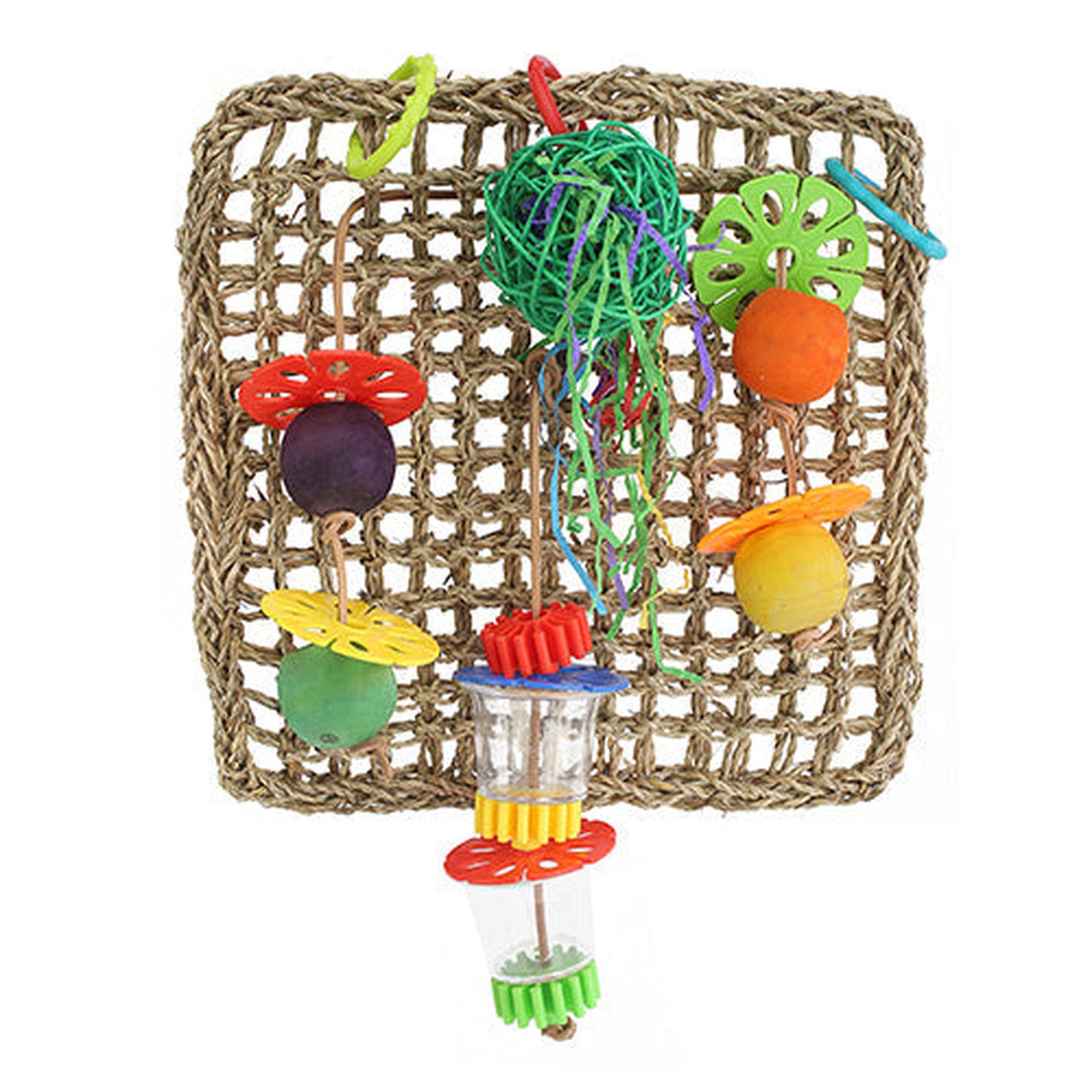 Bird Net Forgaging Wall Animal Accessories Bainbridge Pty Ltd Medium