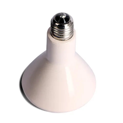 White ceramic heat lamp bulb on a white background