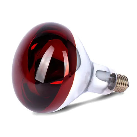Red heat lamp bulb on a white background