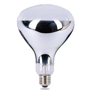 clear infrared spot globe bulb on a white background