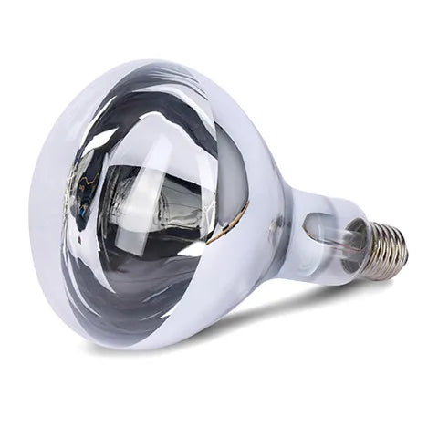 clear infrared spot globe bulb on a white background