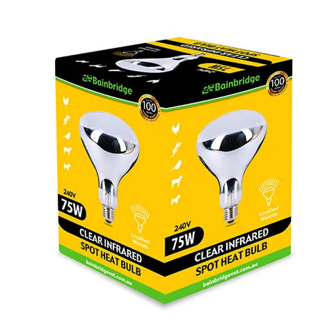 Box of Bainbridge 75W clear infrared spot heat bulb on a white background